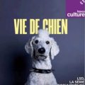 viedechien2